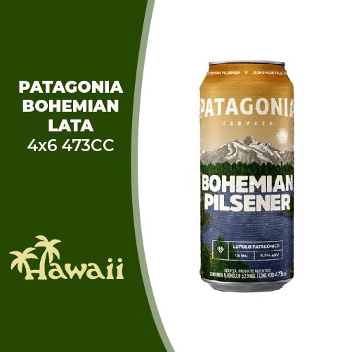 PATAGONIA BOHEMIAN LATA 4X6 473CC
