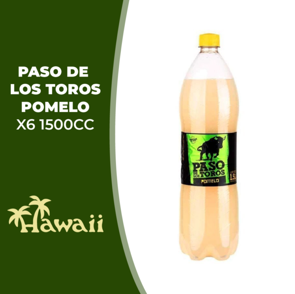 PASO DLT POMELO X6 PET 1500CC