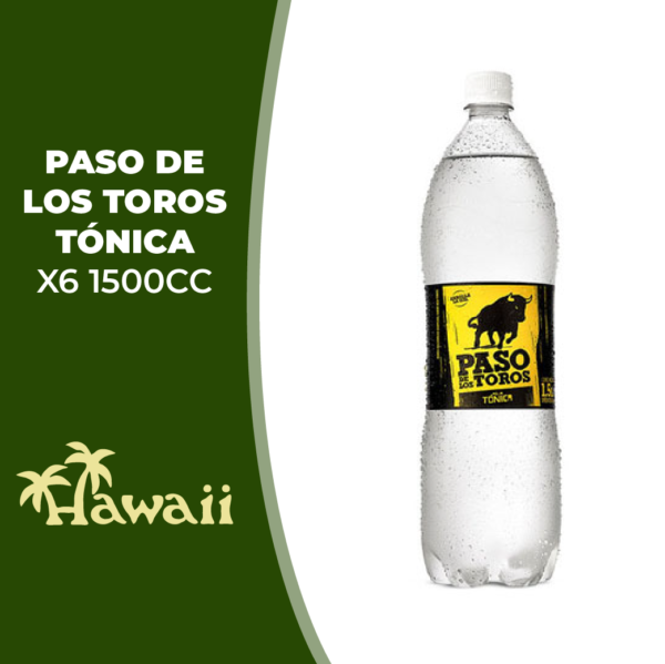 PASO DLT TONICA X6 PET 1500CC