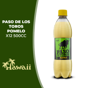 PASO DLT POMELO X12 PET 500CC