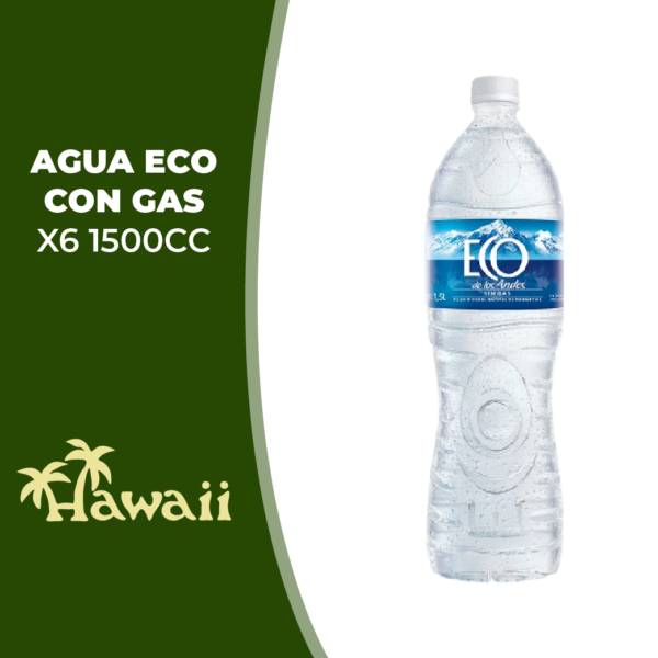 ECO ANDES AGUAS/G * X6 PET 1500CC